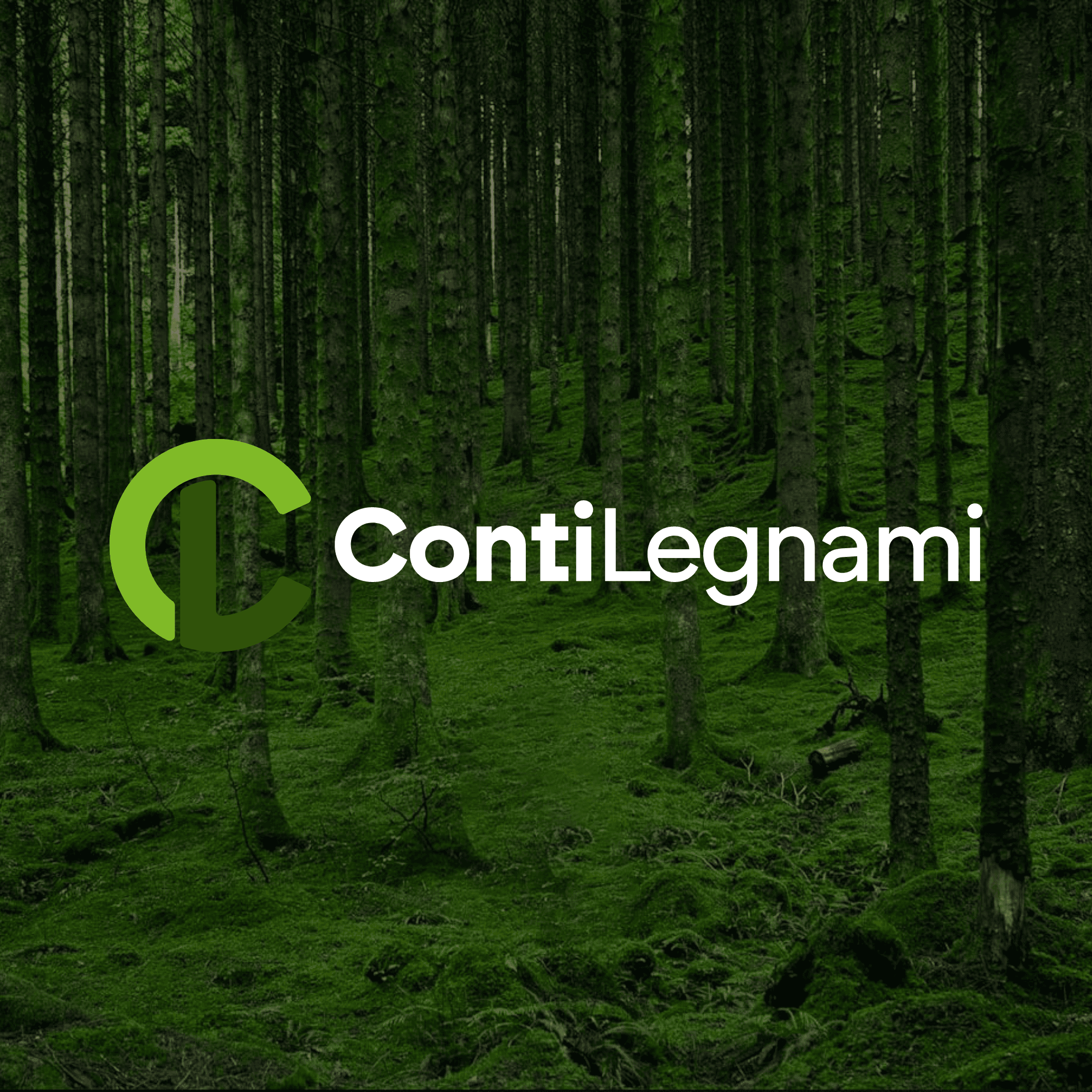 Conti Legnami