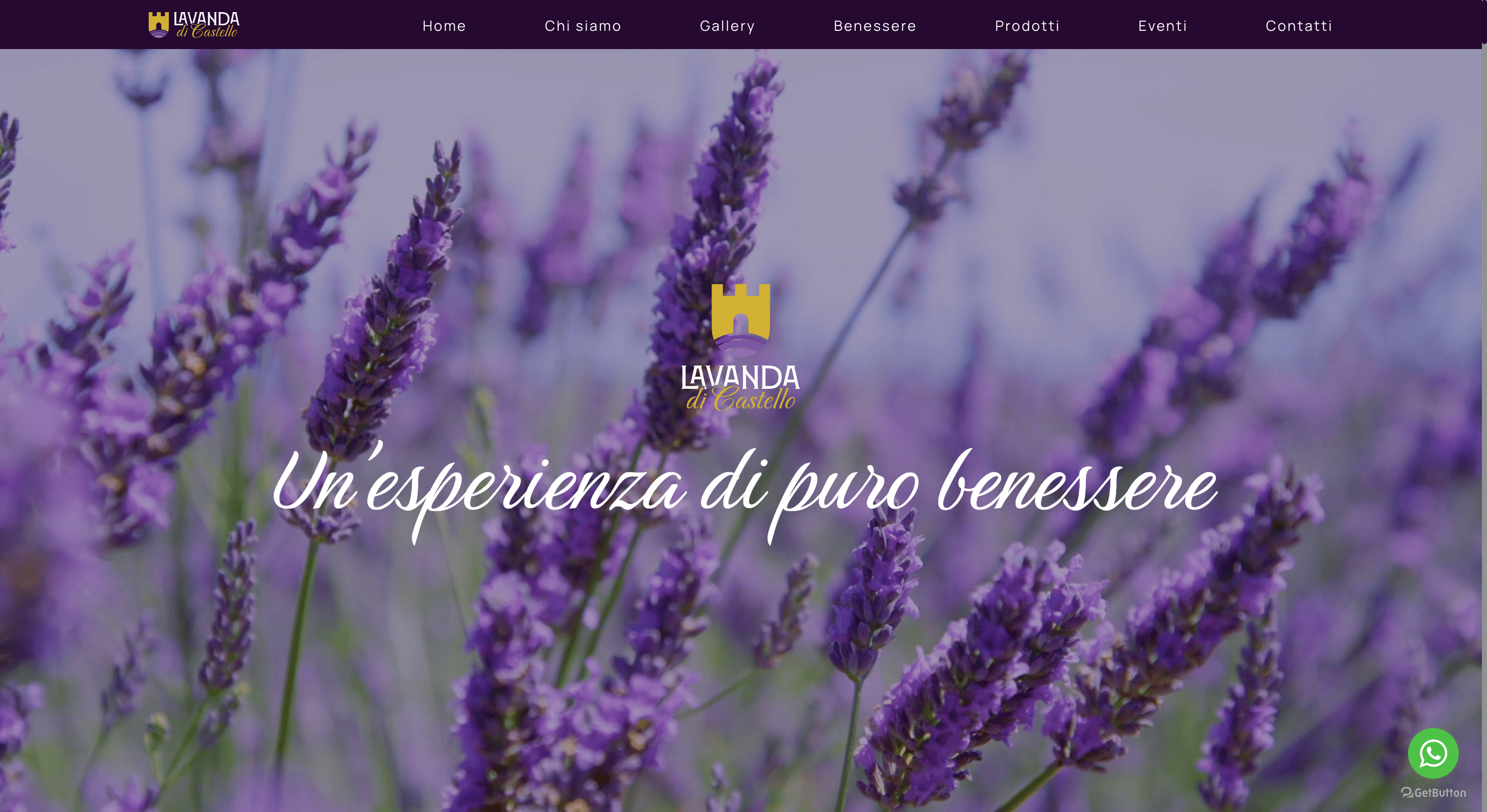 Il Portale Web