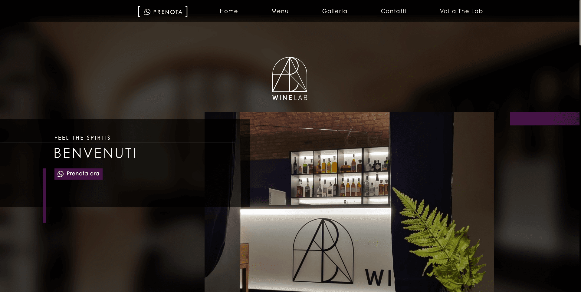 Il Portale Web